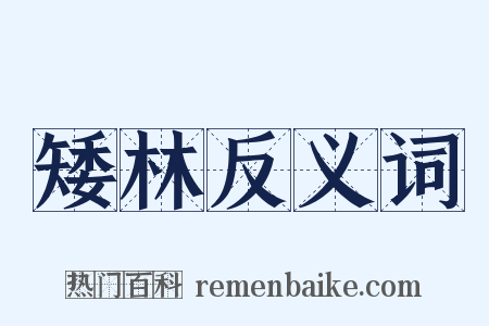 矮林反义词是什么意思的图片